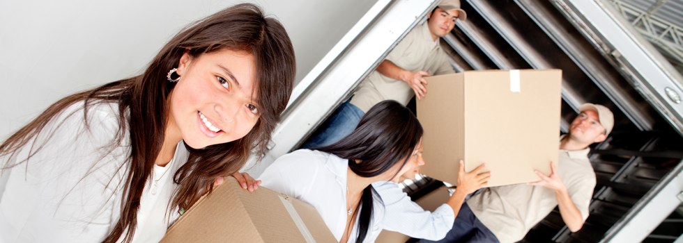 Professional Removalists Point Grey